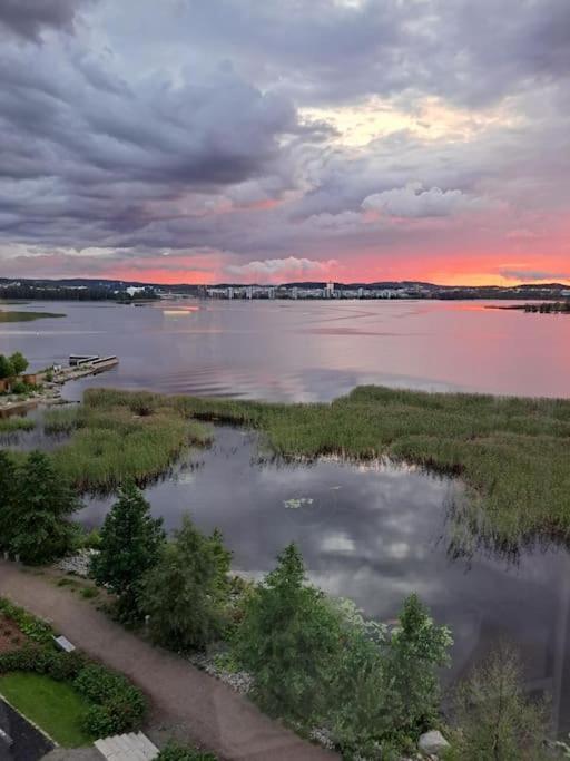 Luksuskolmio Jaervinaekoealalla Apartment Jyvaskyla